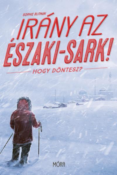 Irány az Északi-sark! - Hogy döntesz?