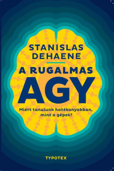 A ​rugalmas agy